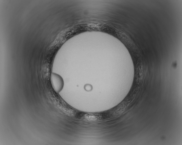 X0000115310706200911301536