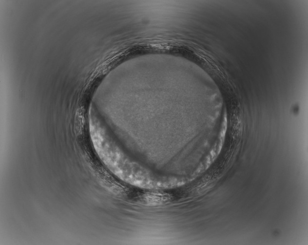 X0000115310707200911301536