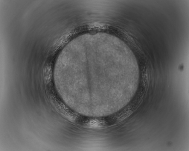 X0000115310708200911301536