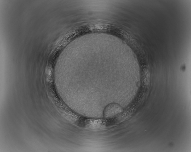 X0000115310709200911301536