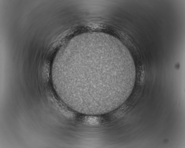 X0000115310710200911301535