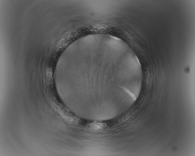 X0000115310711200911301535