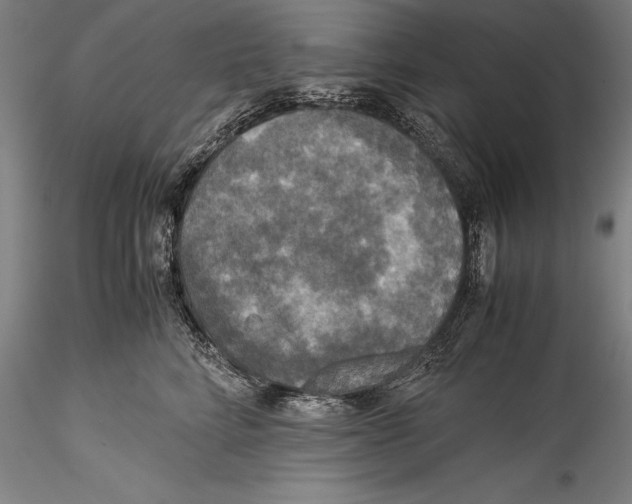 X0000115310712200911301535