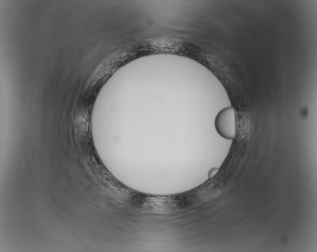 X0000115310713200911301535