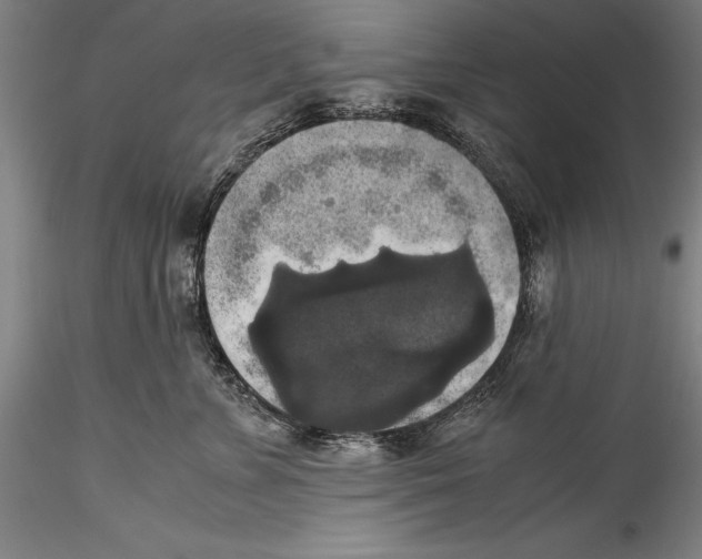 X0000115310715200911301535