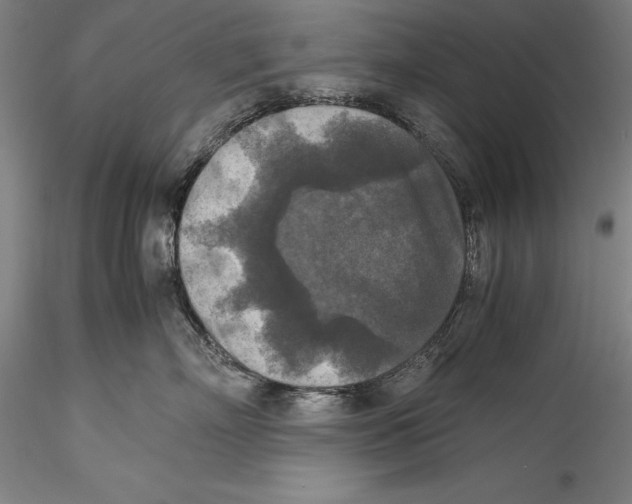 X0000115310718200911301535