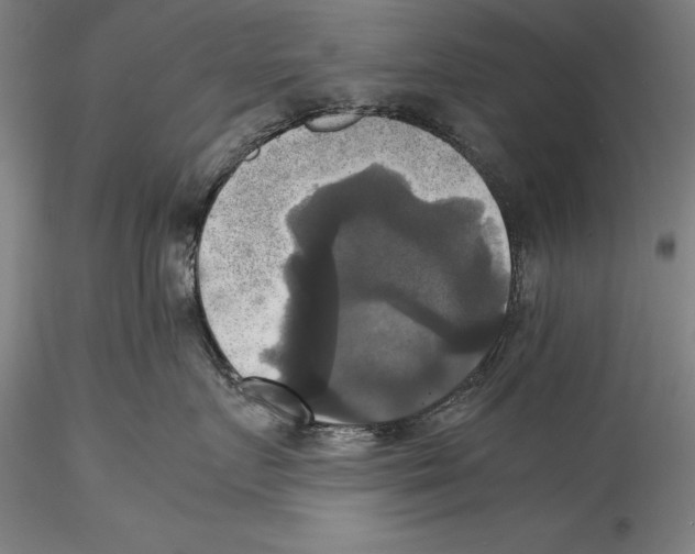 X0000115310719200911301535