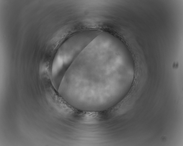 X0000115310720200911301535