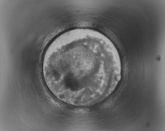 X0000115310721200911301535