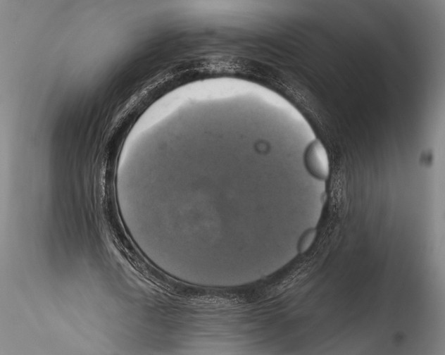 X0000115310722200911301535