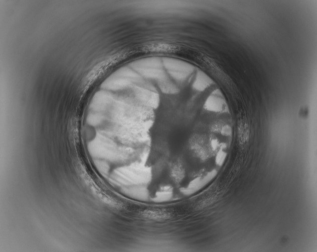 X0000115310725200911301535