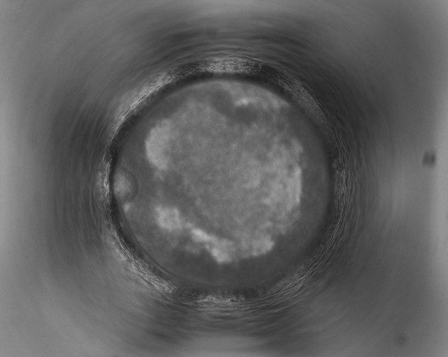 X0000115310727200911301535