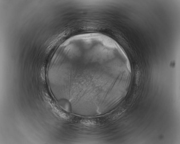 X0000115310729200911301535