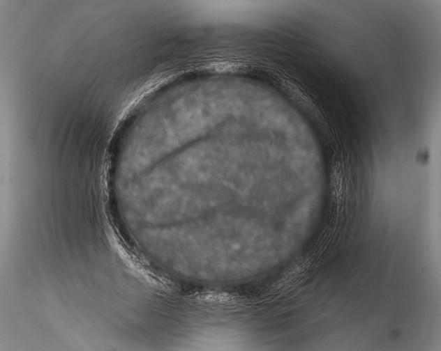 X0000115310730200911301535