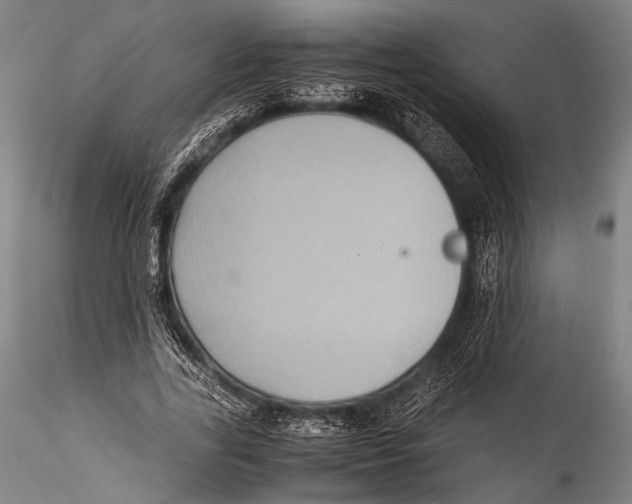 X0000115310731200911301535