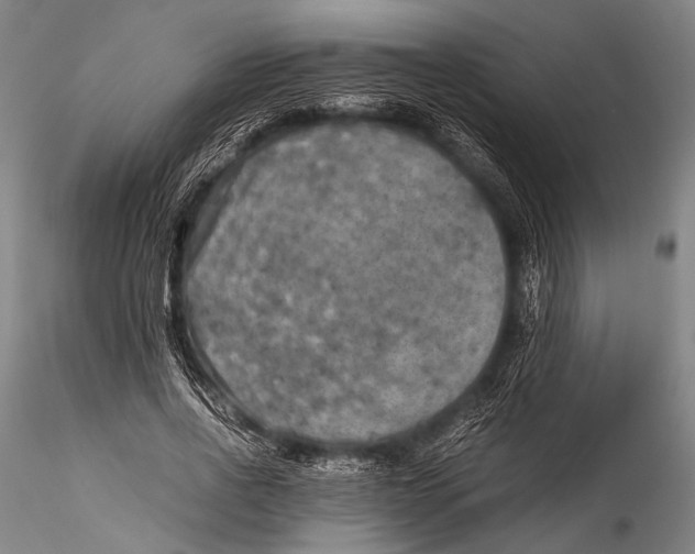 X0000115310734200911301535