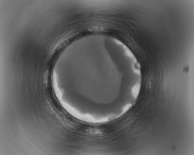 X0000115310735200911301535