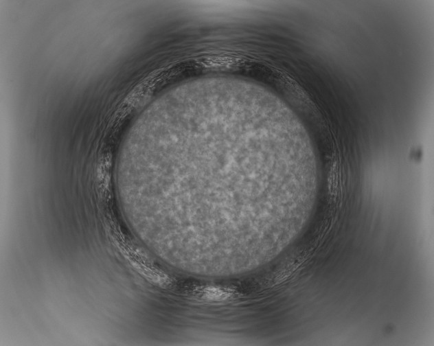 X0000115310737200911301535