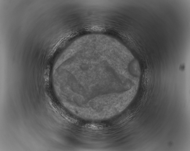 X0000115310739200911301535