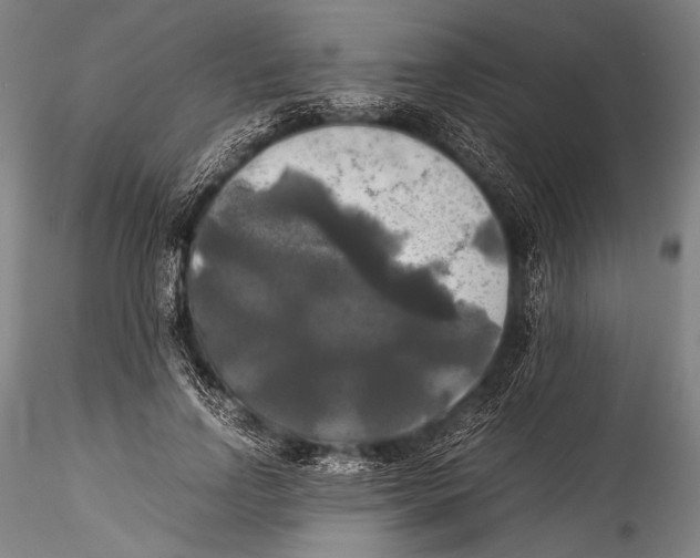 X0000115310742200911301535