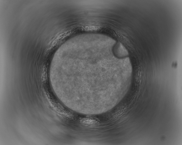 X0000115310743200911301535