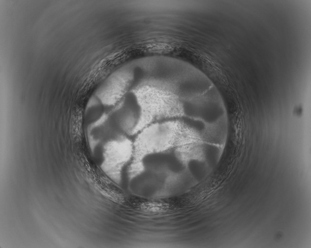 X0000115310745200911301535