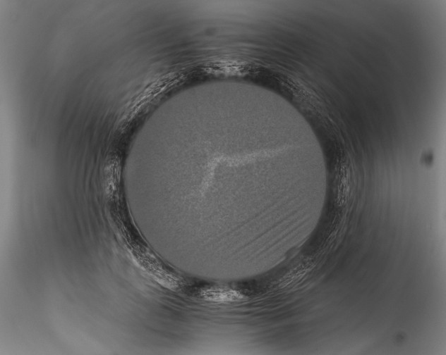 X0000115310747200911301535