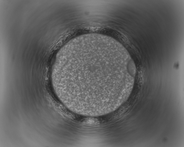 X0000115310750200911301535