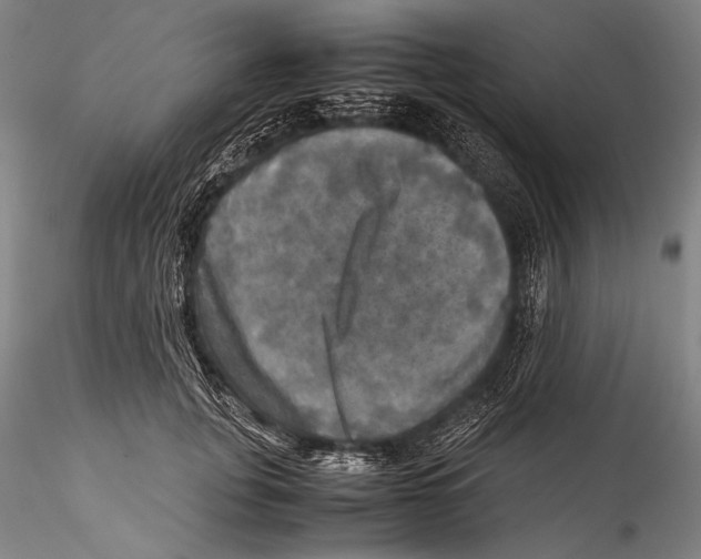 X0000115310751200911301535