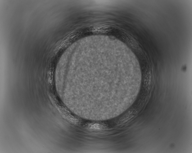 X0000115310755200911301535