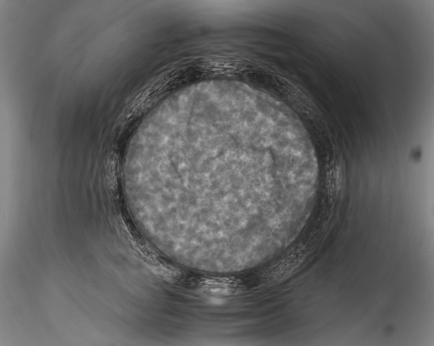 X0000115310757200911301535