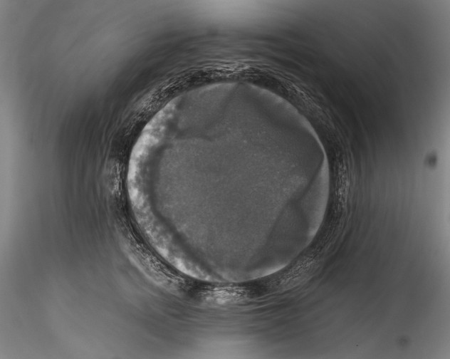 X0000115310758200911301535