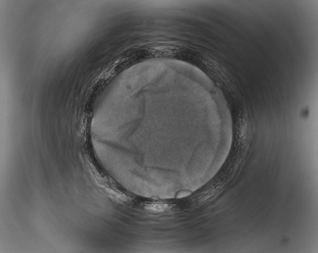 X0000115310759200911301535