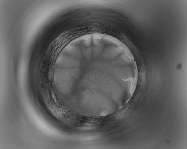 X0000115310765200911301535