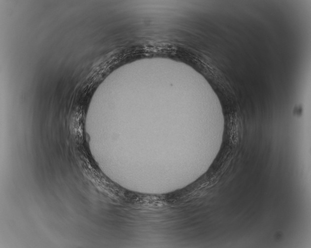 X0000115310770200911301534