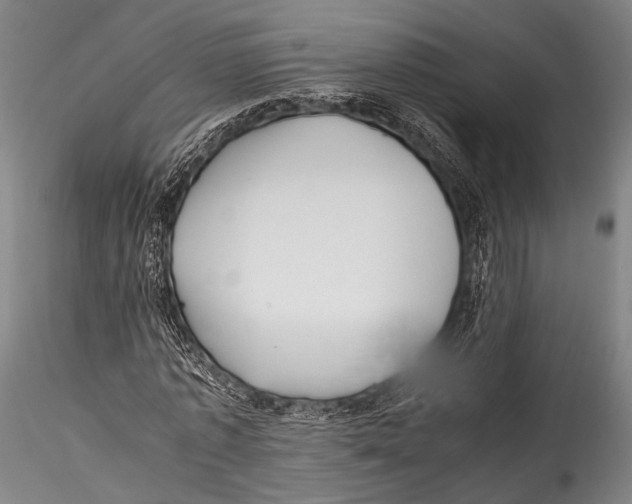 X0000115310773200911301534