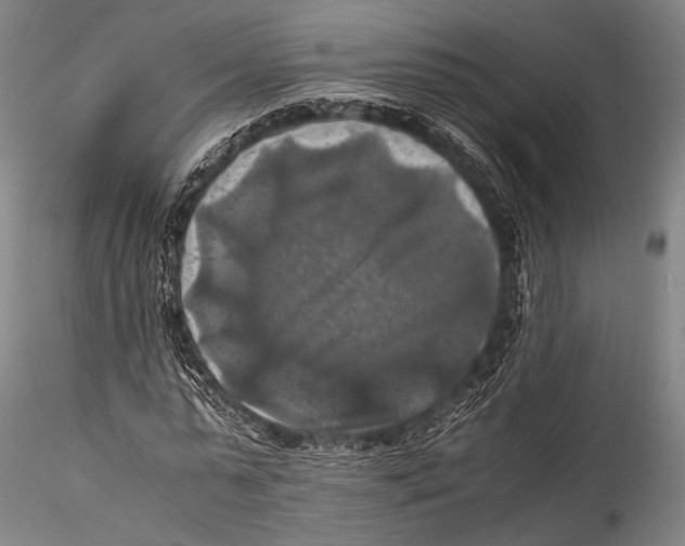 X0000115310775200911301534