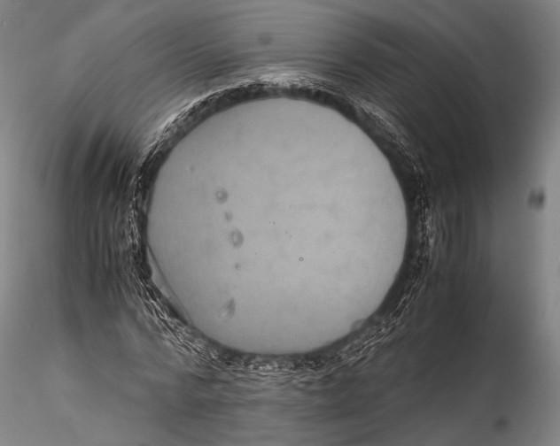 X0000115310776200911301534