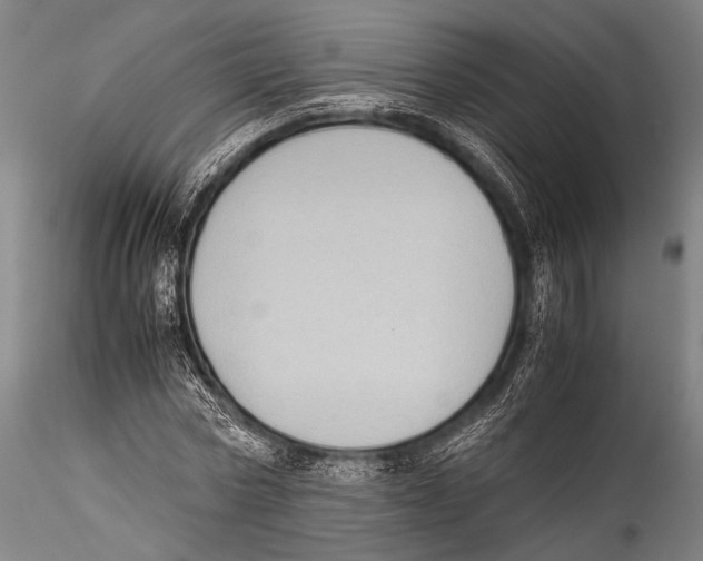 X0000115310778200911301534