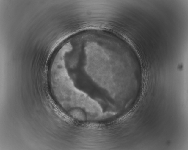 X0000115310779200911301534