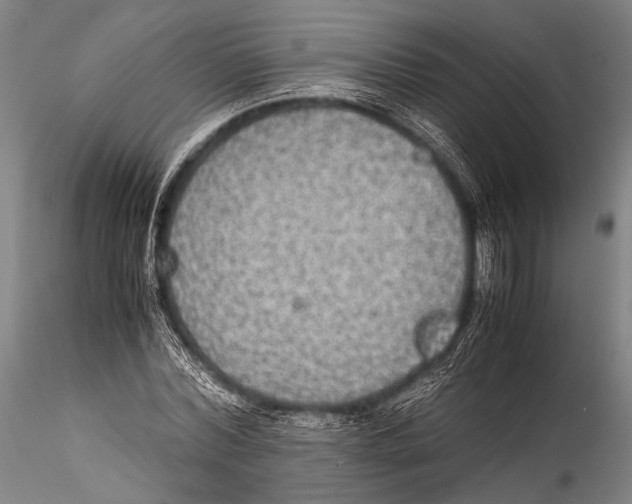 X0000115310780200911301534