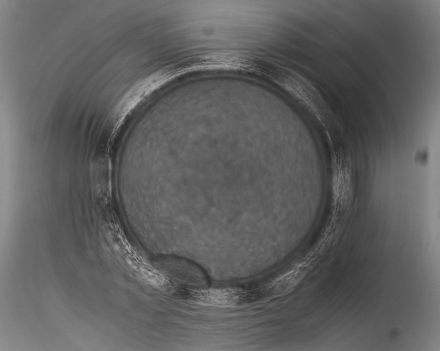 X0000115310781200911301534