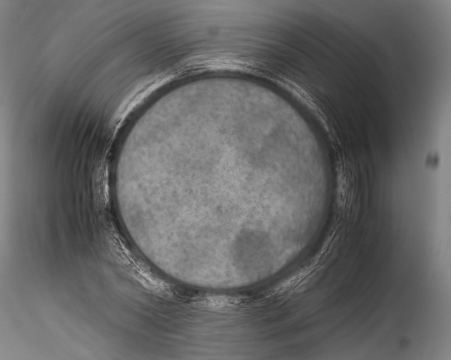 X0000115310782200911301534