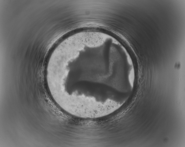 X0000115310783200911301534