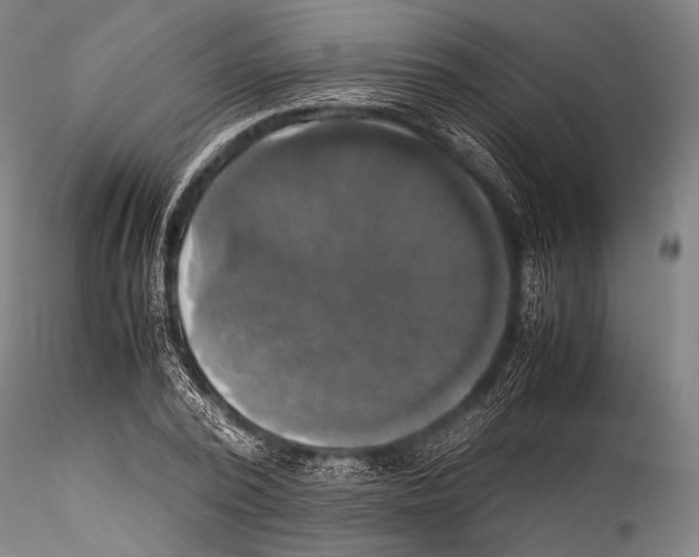 X0000115310784200911301534