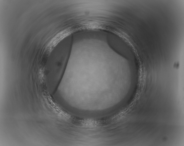 X0000115310785200911301534