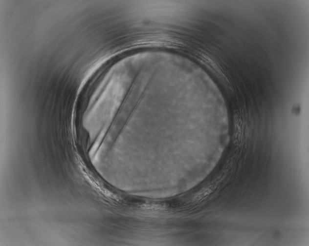 X0000115310788200911301534