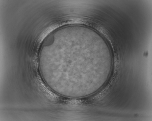 X0000115310789200911301534