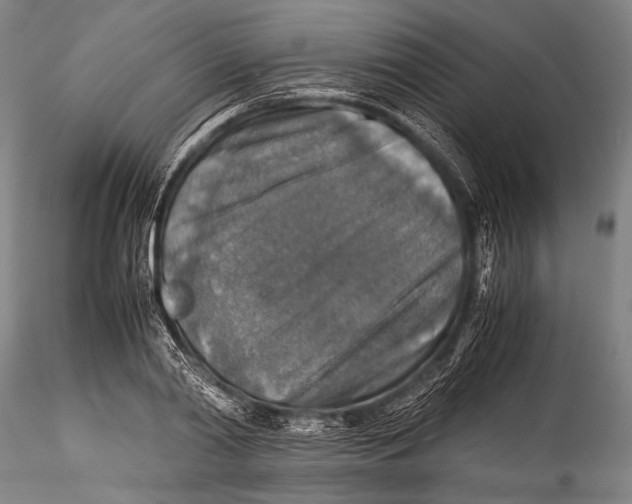 X0000115310790200911301534