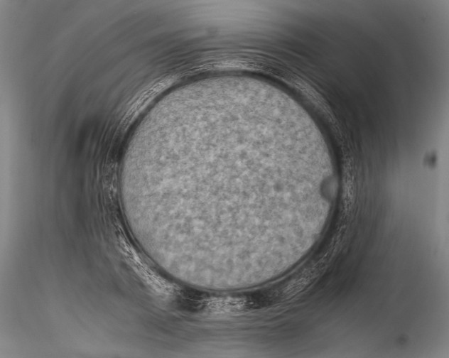 X0000115310793200911301534